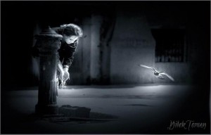 gizli yaşam koçlarımız 1