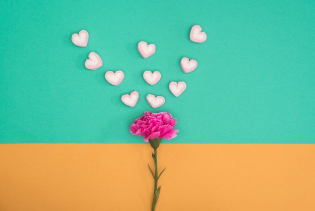 dilek Torun hergunebirnefes