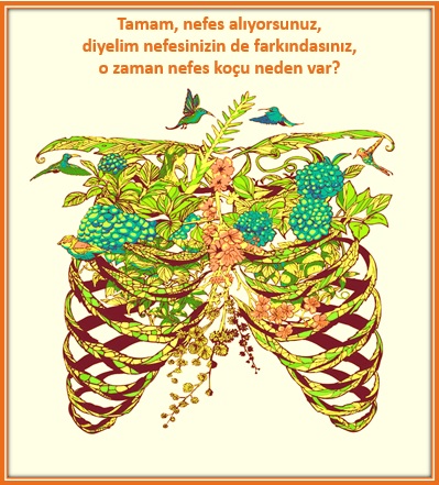 dilek torun nefes koçu neden var?