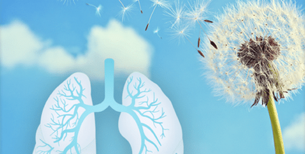 Dilek Torun - Nefes yolculuğu